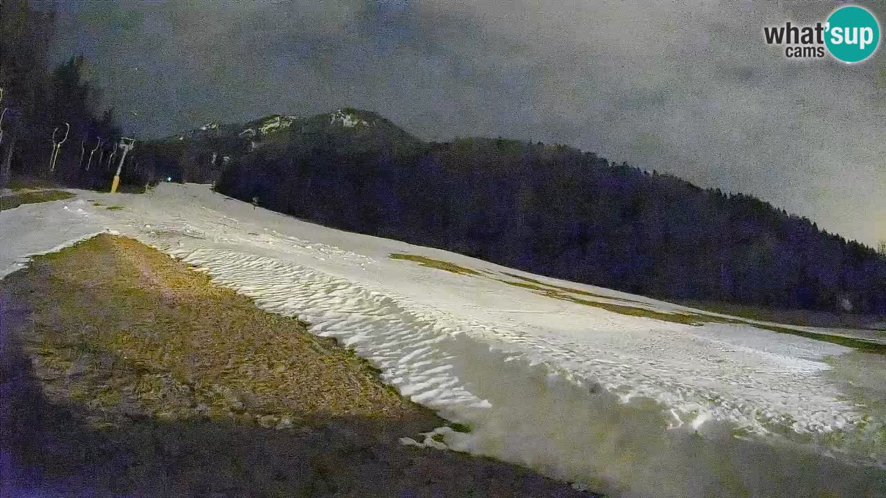 RTC Skigebiet Kranjska Gora | Brsnina