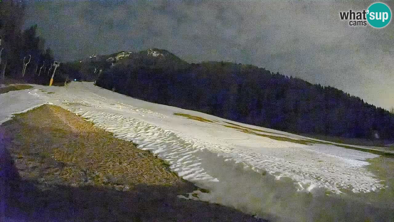 Esquí Kranjska Gora | Brsnina