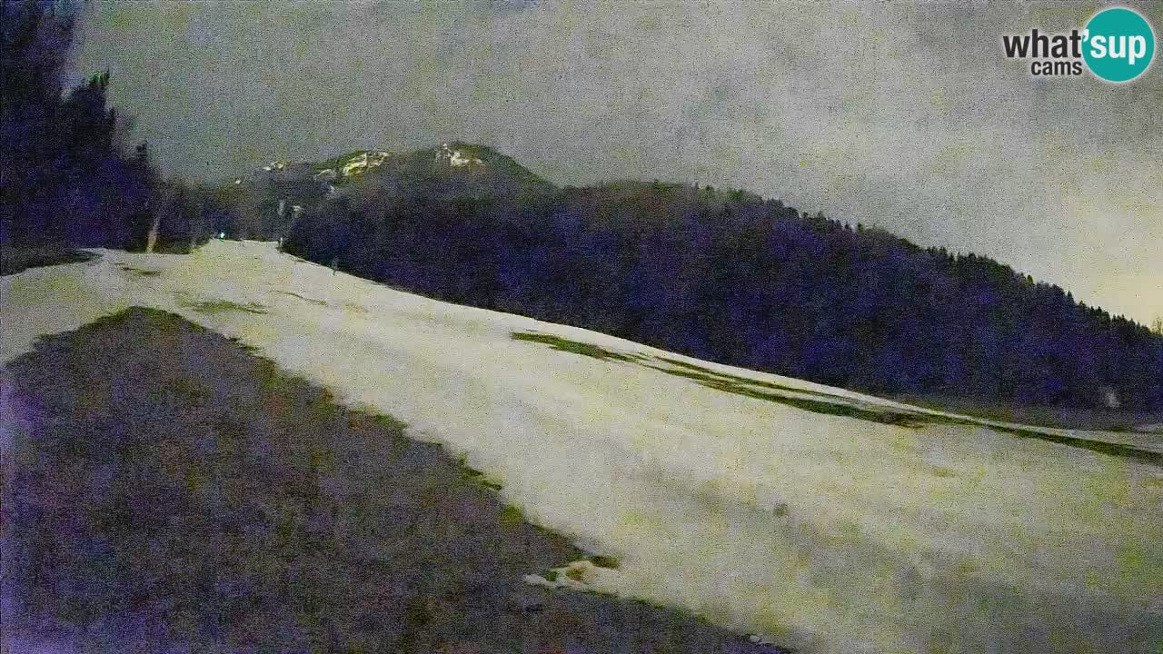 Comprensorio sciistico Kranjska Gora | Brsnina