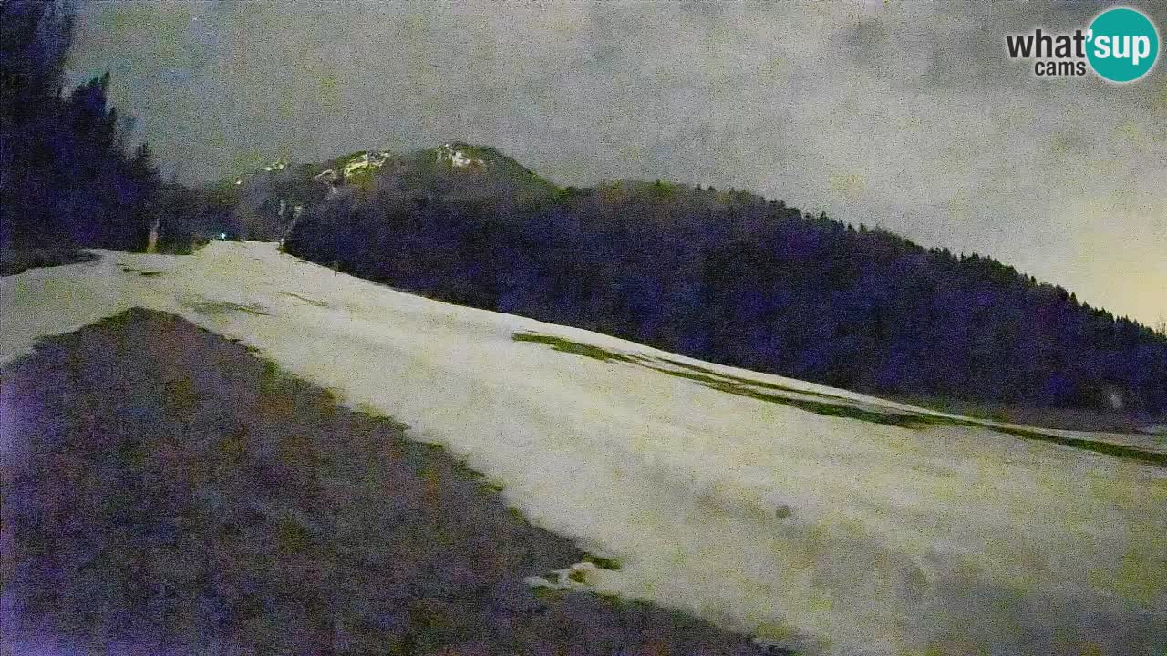 Kranjska Gora SKIJANJE | Brsnina