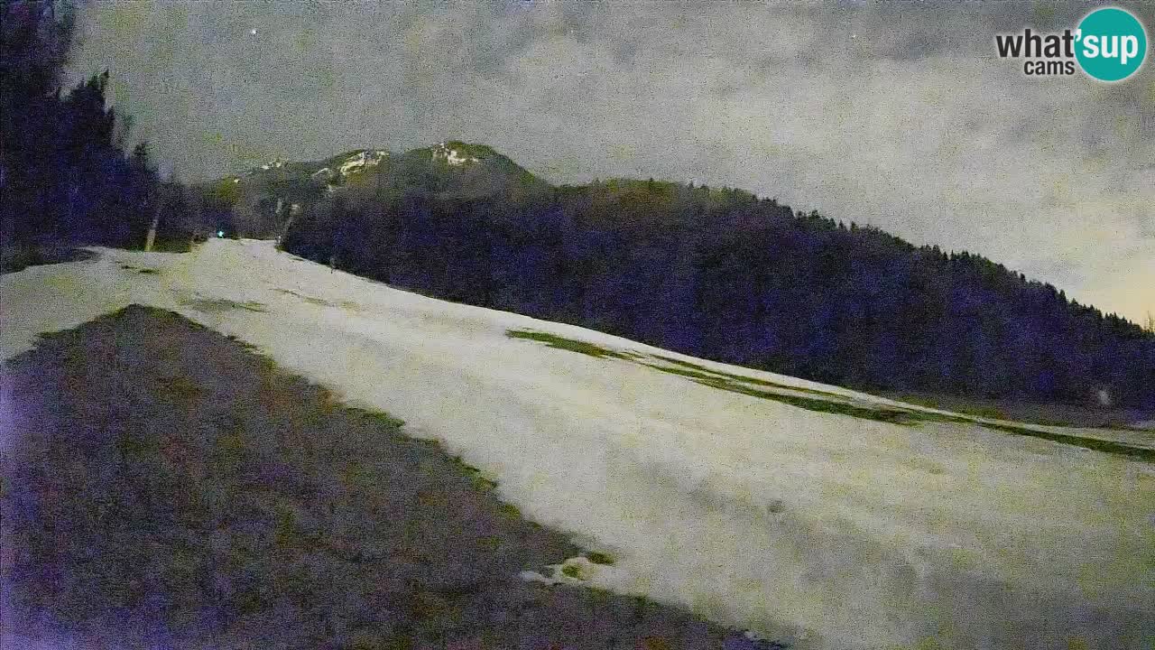 RTC Kranjska Gora | Brsnina