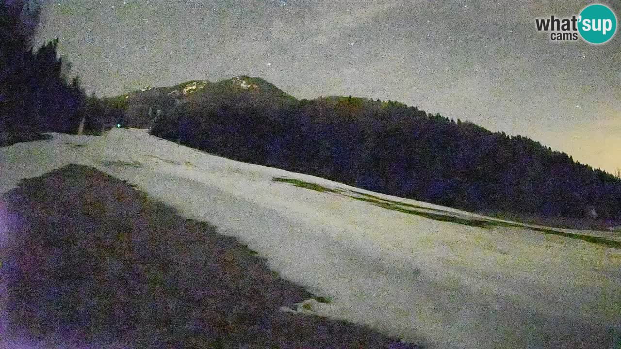 Kranjska Gora SKIJANJE | Brsnina