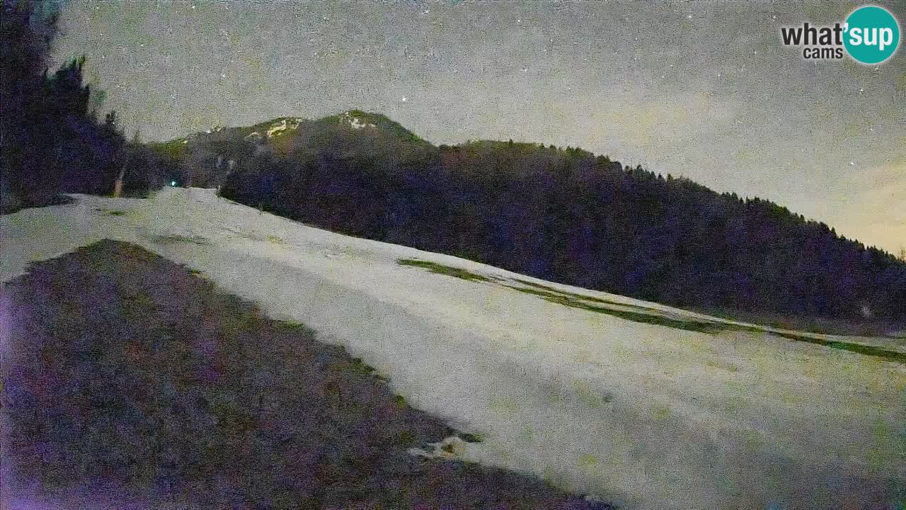 Ski Kranjska Gora | Brsnina