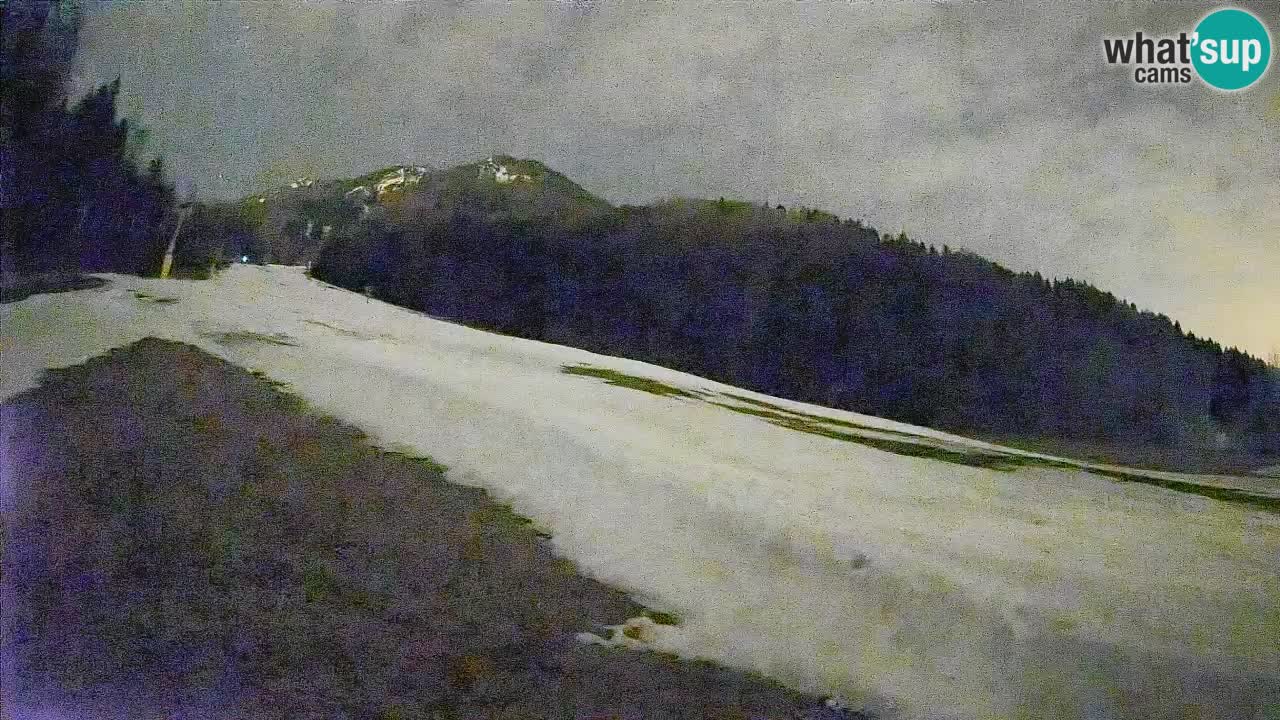 Comprensorio sciistico Kranjska Gora | Brsnina