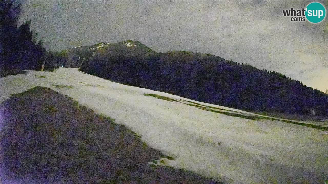 Kranjska Gora Station de ski | Brsnina