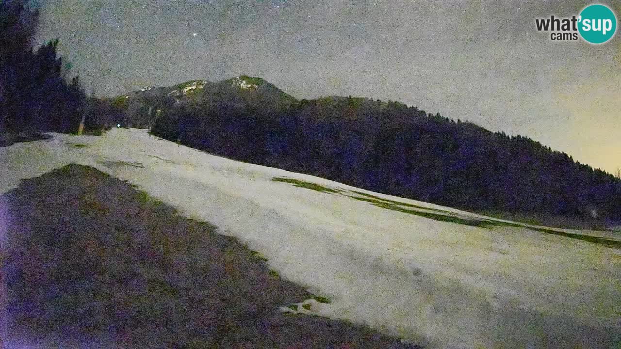 RTC Kranjska Gora | Brsnina