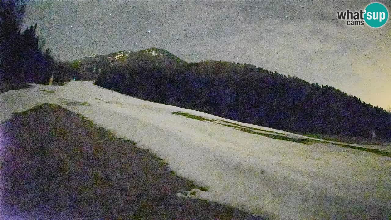 Esquí Kranjska Gora | Brsnina