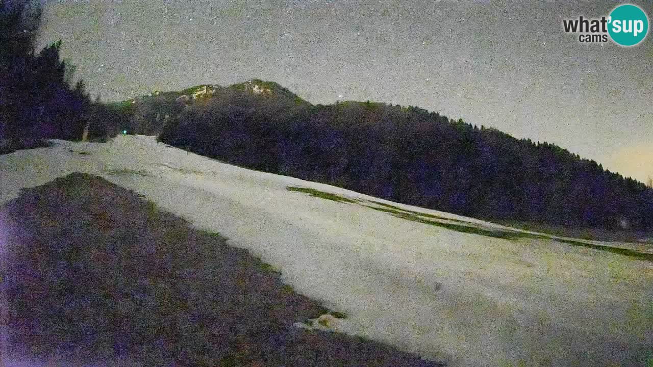 RTC Kranjska Gora | Brsnina