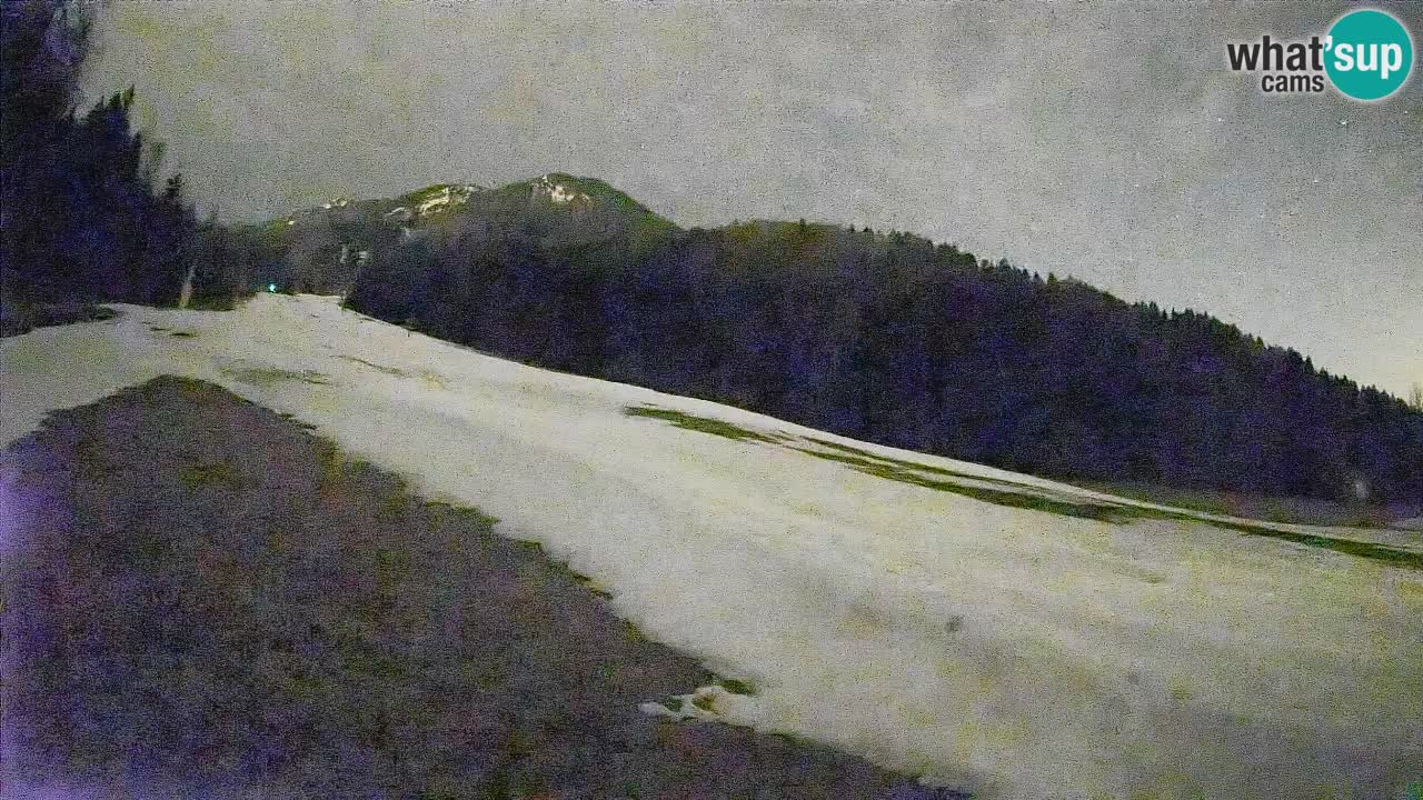 RTC Kranjska Gora | Brsnina