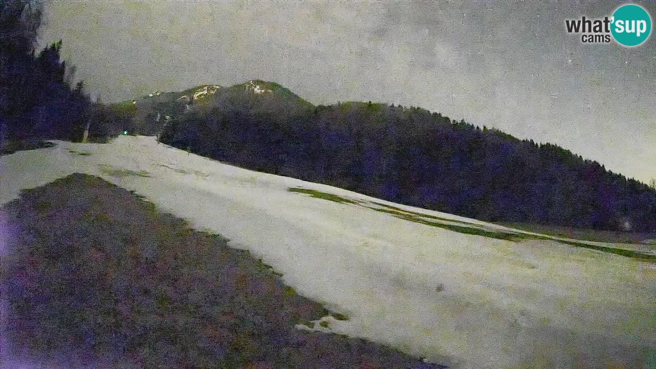 Esquí Kranjska Gora | Brsnina