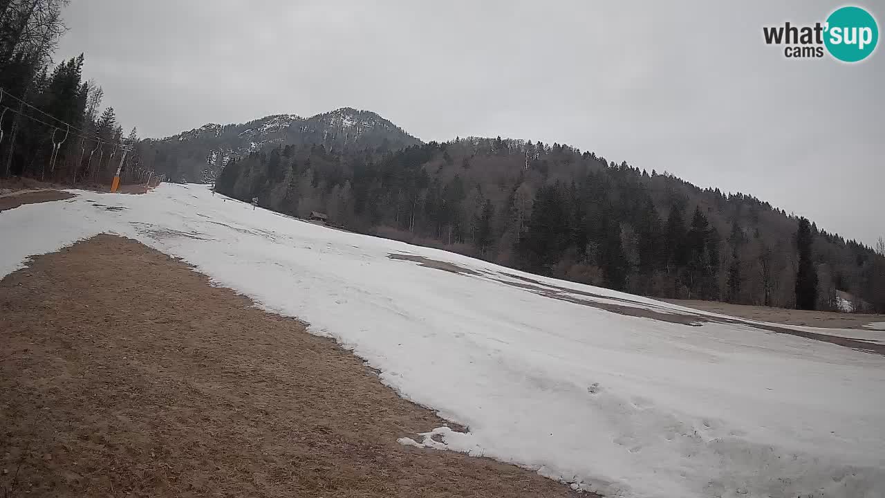 Esquí Kranjska Gora | Brsnina