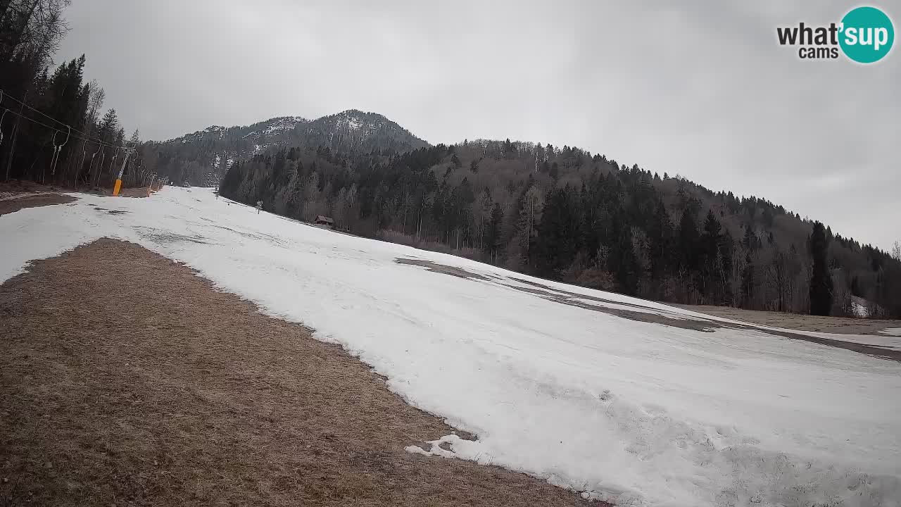 Ski Kranjska Gora | Brsnina