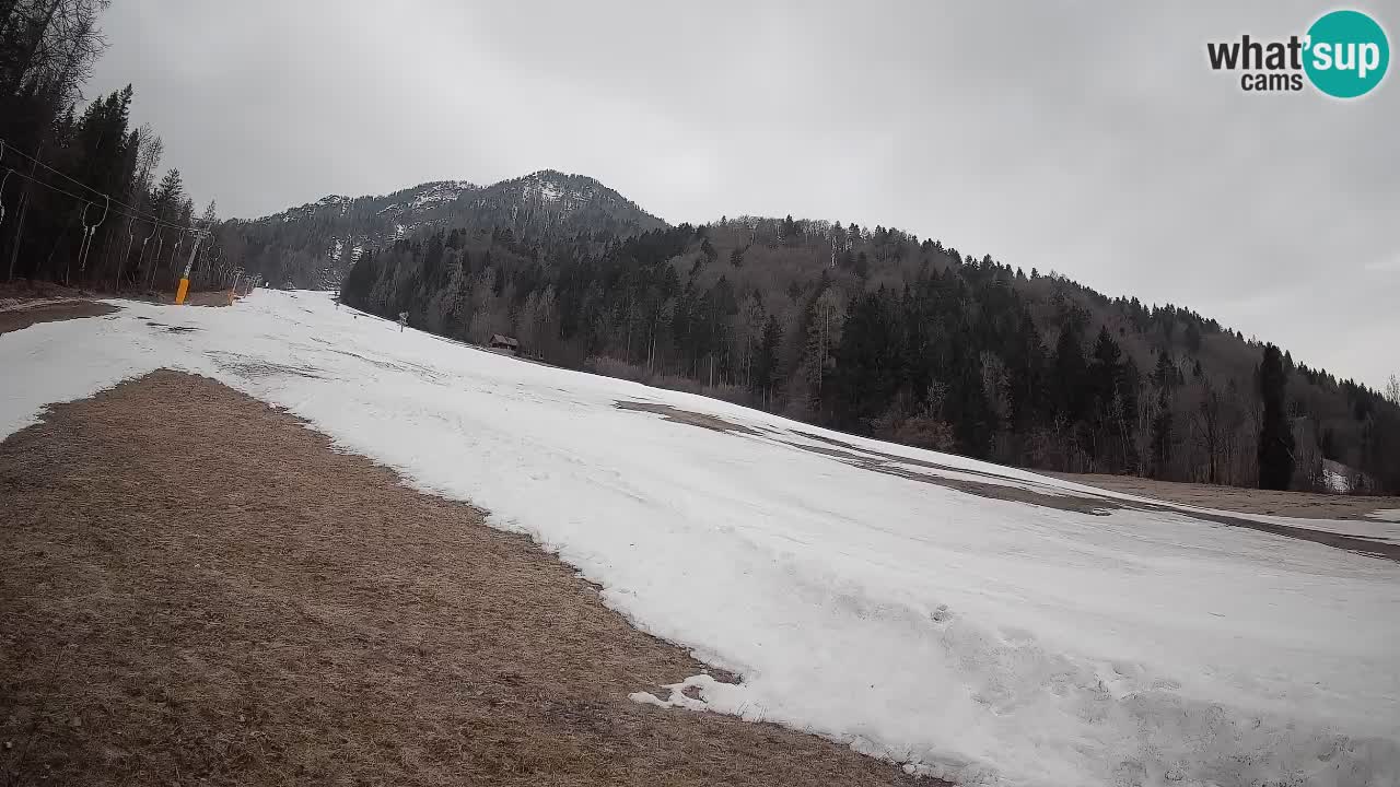 RTC Kranjska Gora | Brsnina