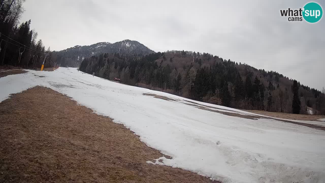 Ski Kranjska Gora | Brsnina
