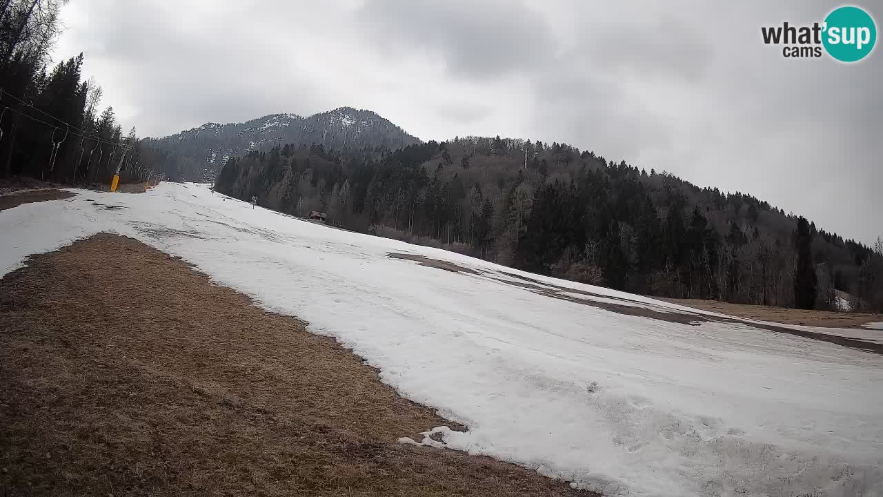 Kranjska Gora Station de ski | Brsnina