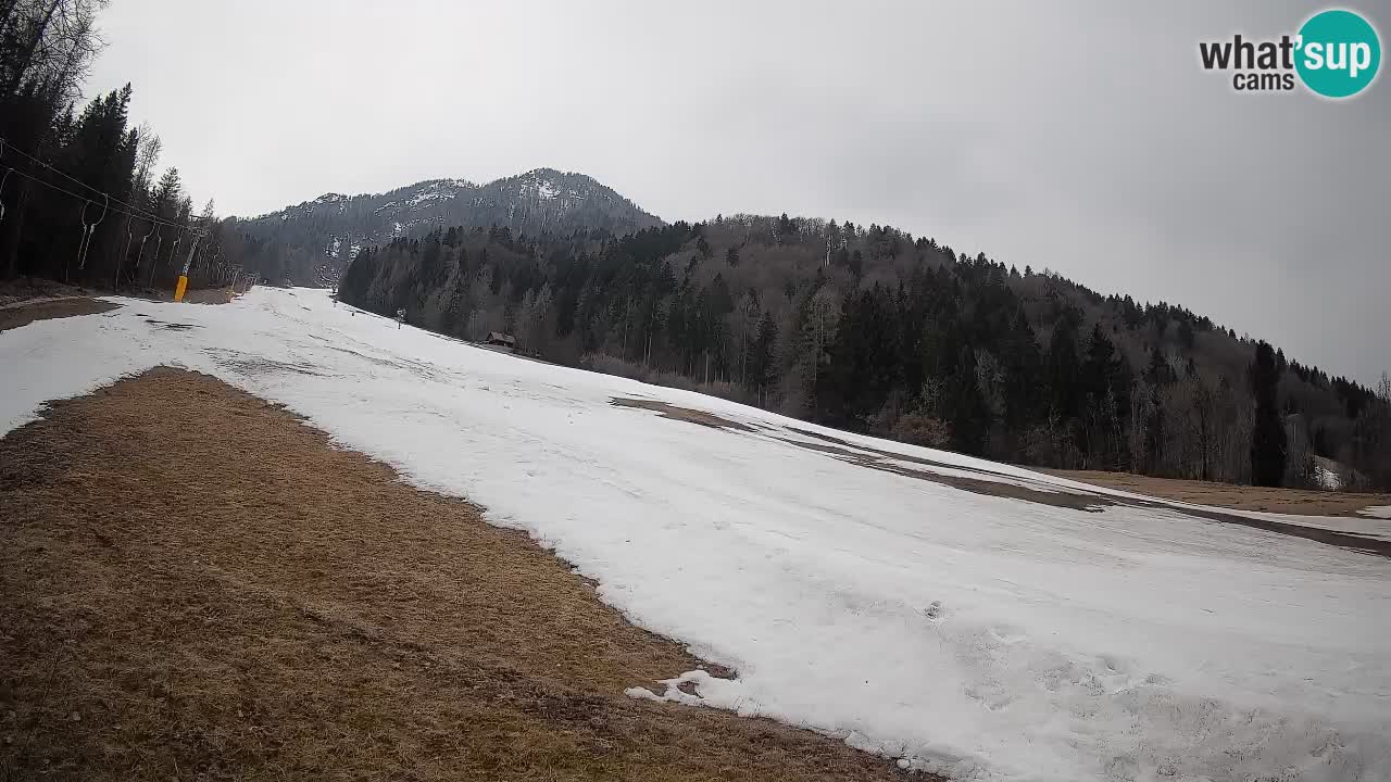 Kranjska Gora SKIJANJE | Brsnina
