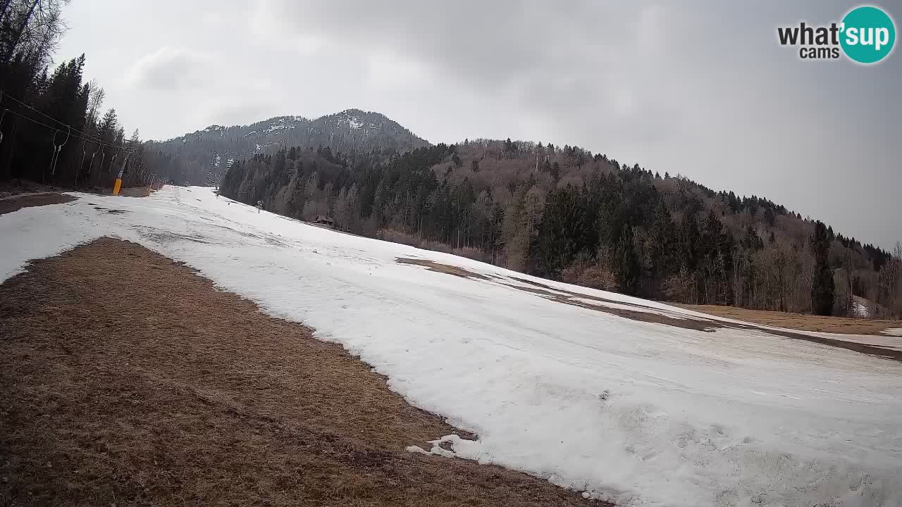 Esquí Kranjska Gora | Brsnina