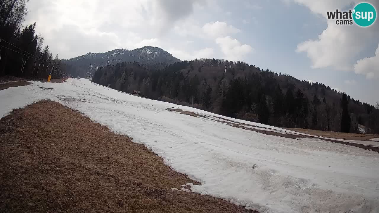 RTC Skigebiet Kranjska Gora | Brsnina