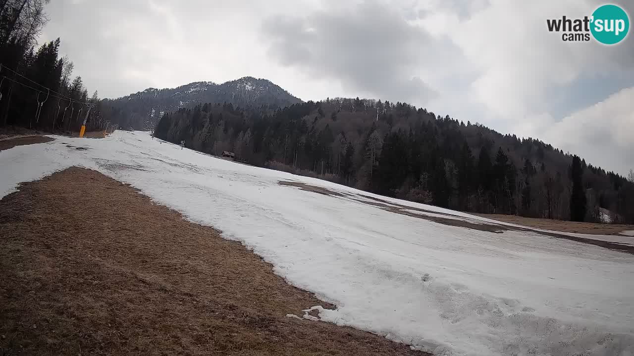 Esquí Kranjska Gora | Brsnina