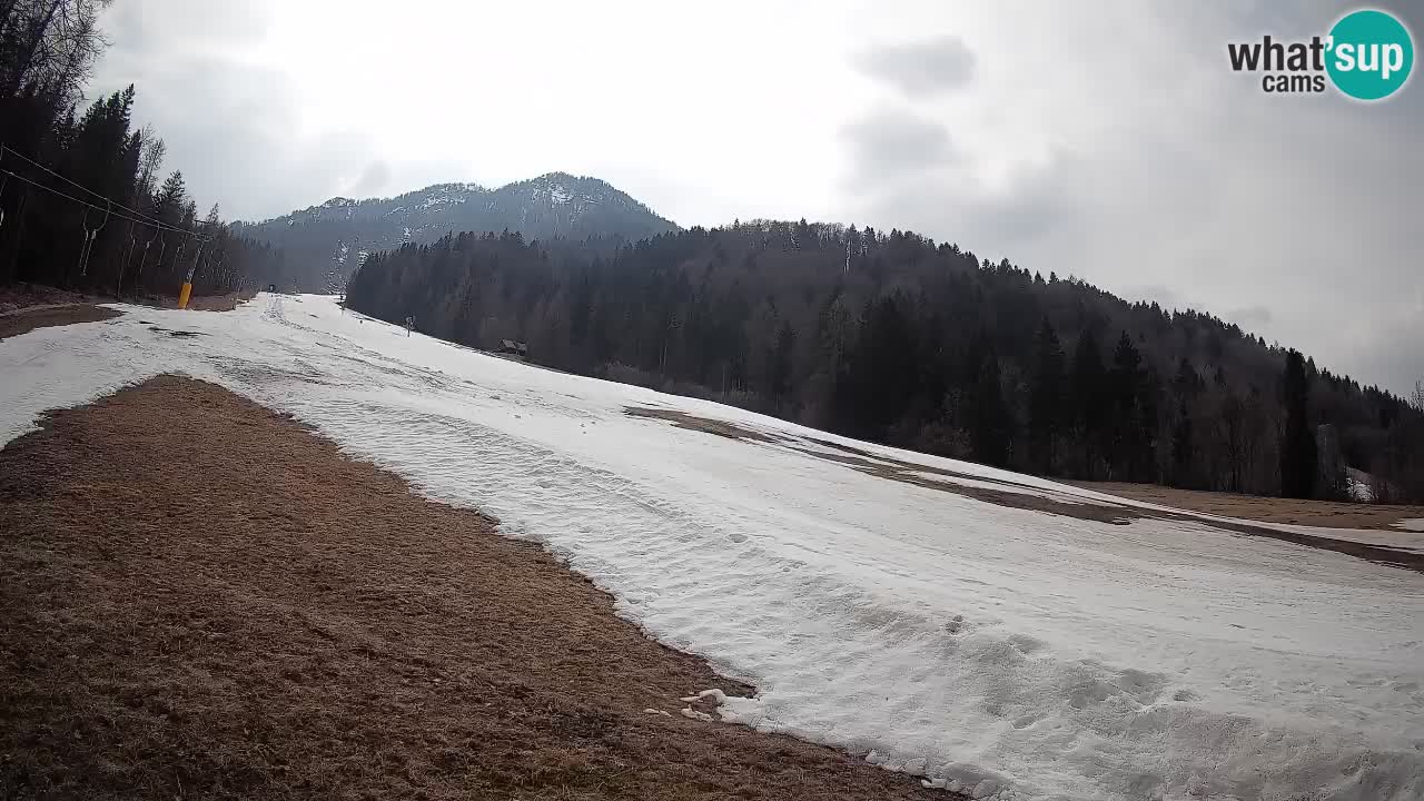 Kranjska Gora Station de ski | Brsnina