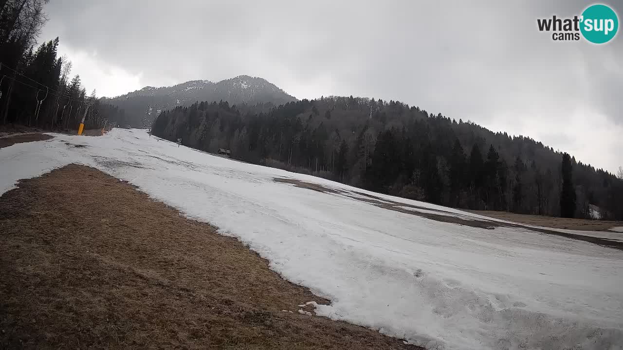 RTC Skigebiet Kranjska Gora | Brsnina