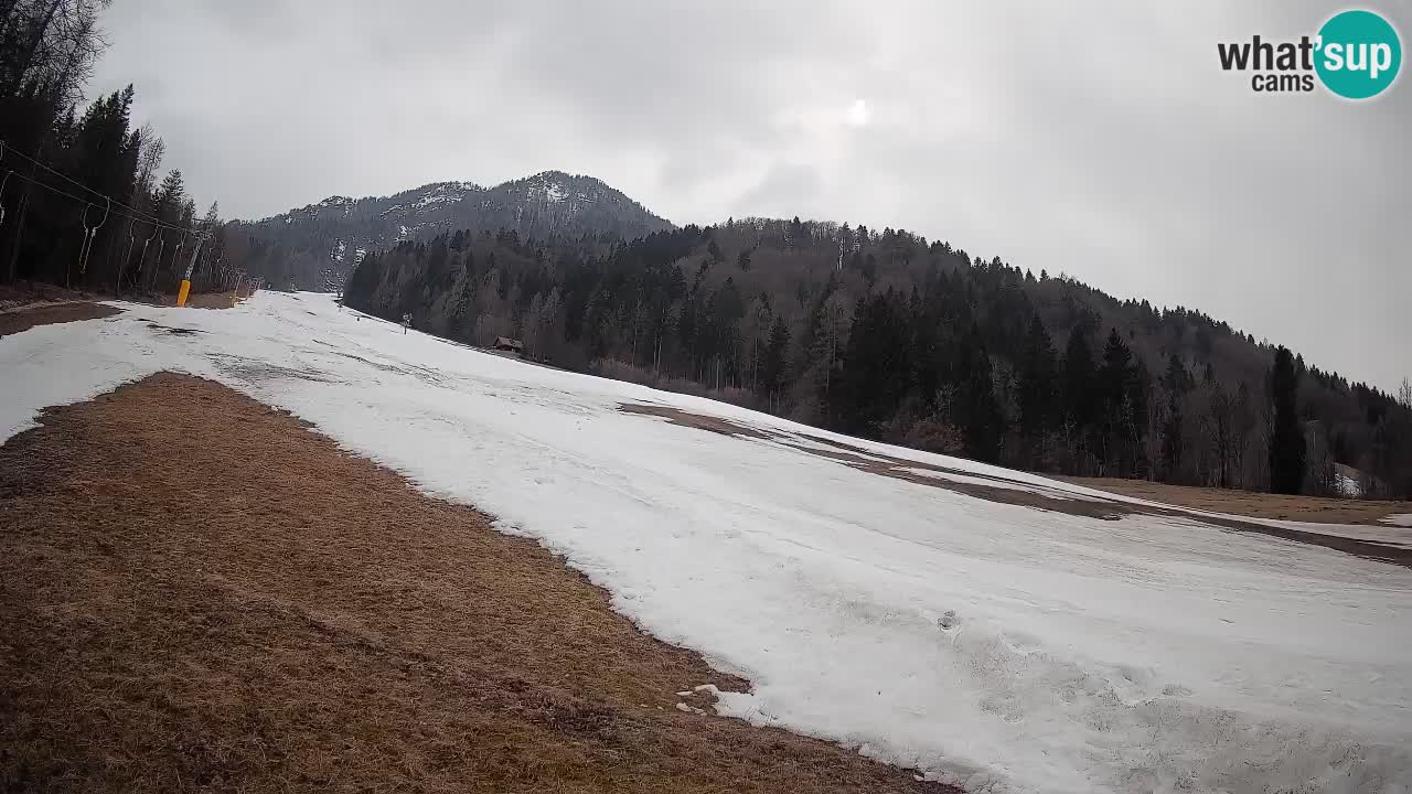 Kranjska Gora SKIJANJE | Brsnina