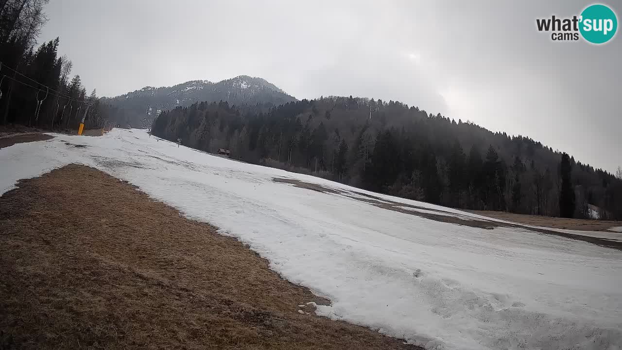 Ski Kranjska Gora | Brsnina