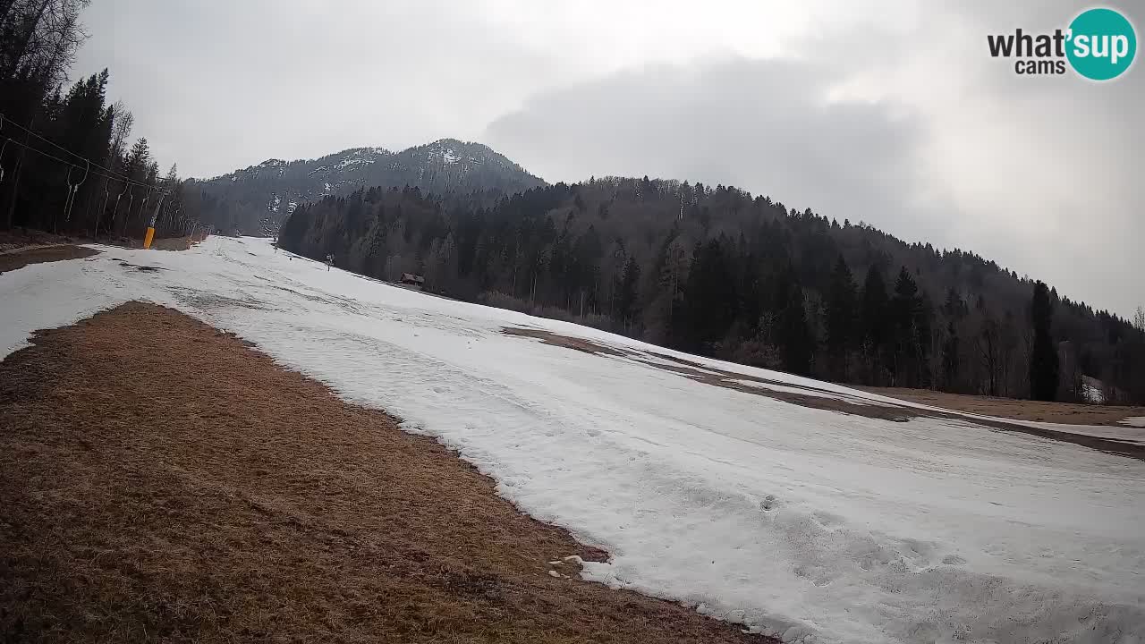 Esquí Kranjska Gora | Brsnina