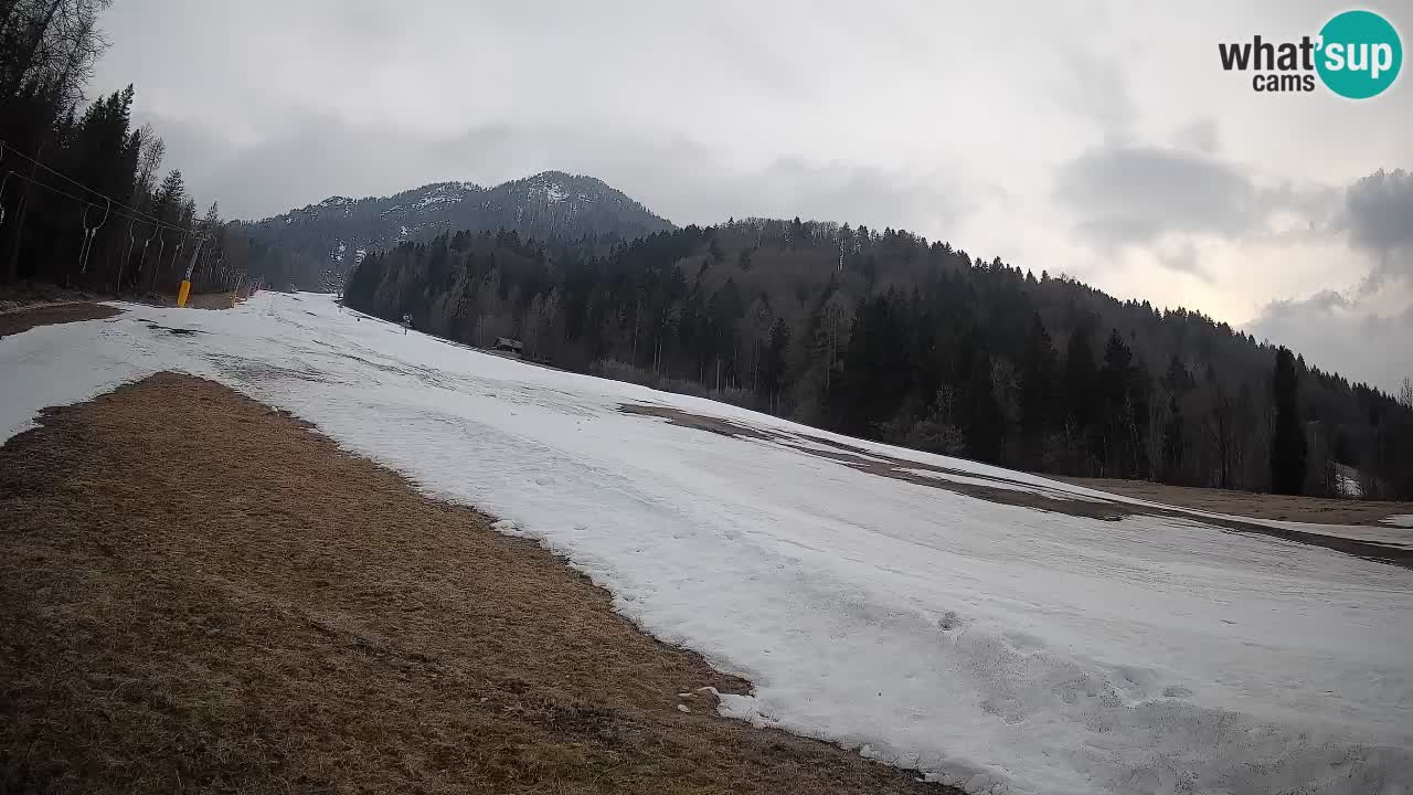 Ski Kranjska Gora | Brsnina