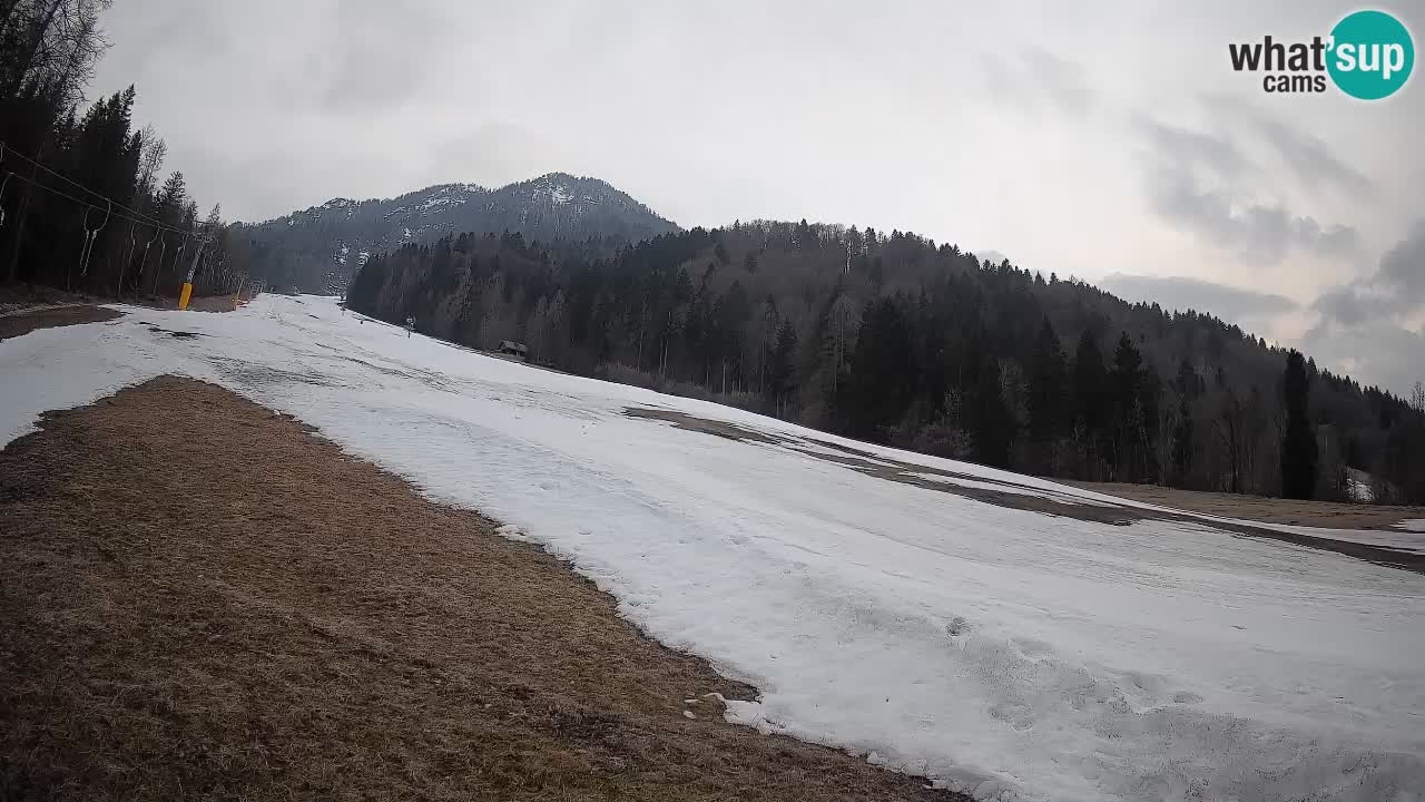 Kranjska Gora Station de ski | Brsnina