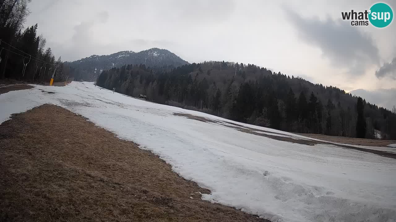 Comprensorio sciistico Kranjska Gora | Brsnina