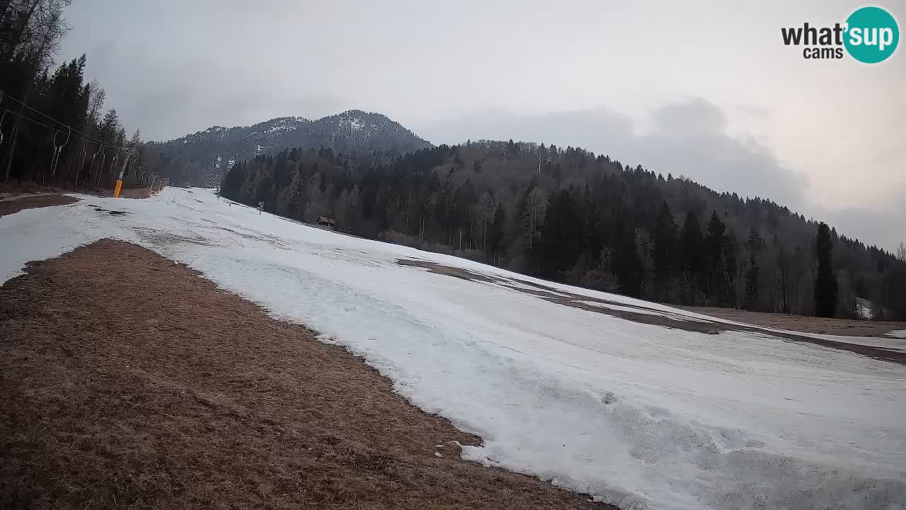 RTC Kranjska Gora | Brsnina