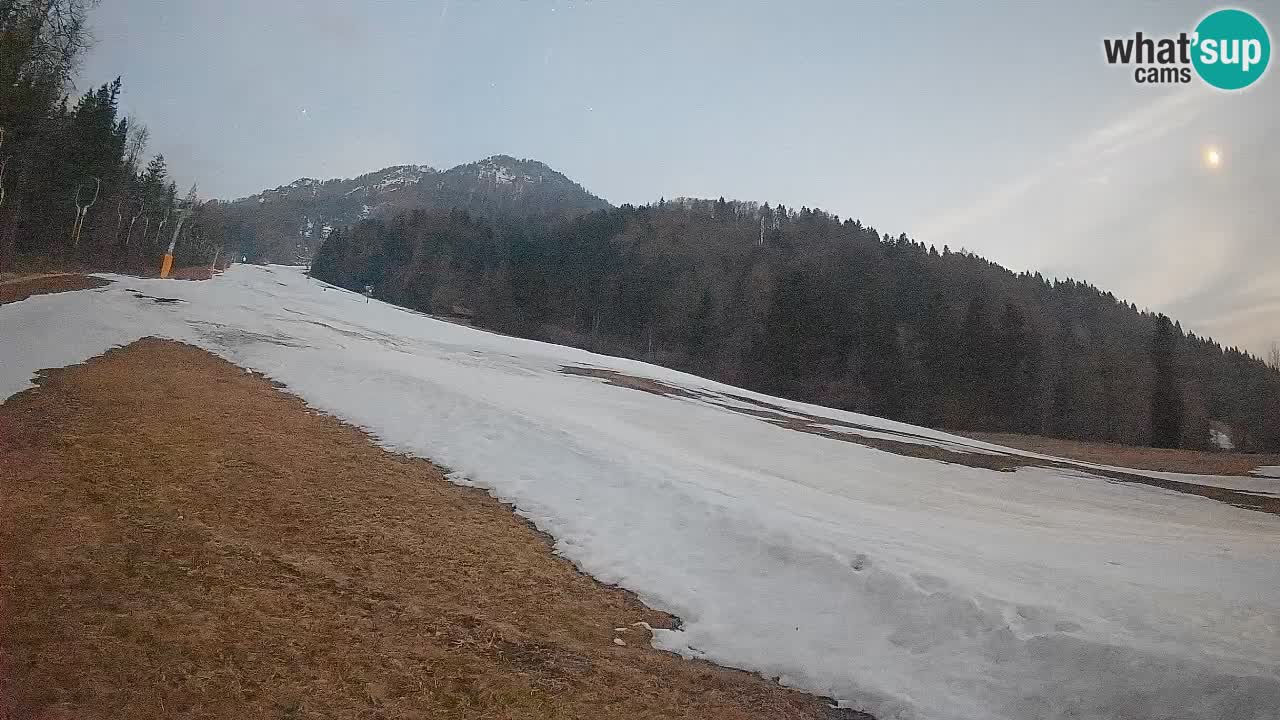 Kranjska Gora SKIJANJE | Brsnina