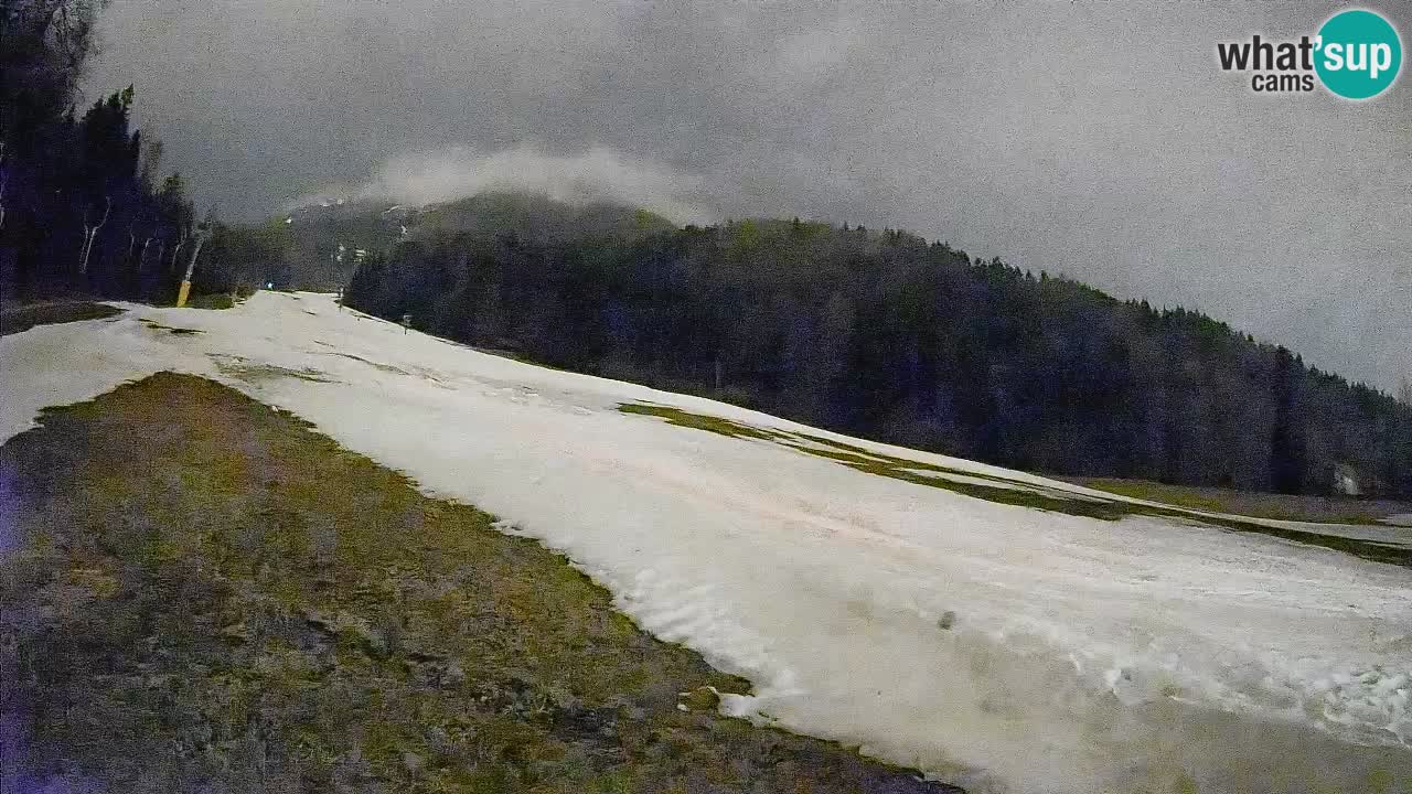 Comprensorio sciistico Kranjska Gora | Brsnina