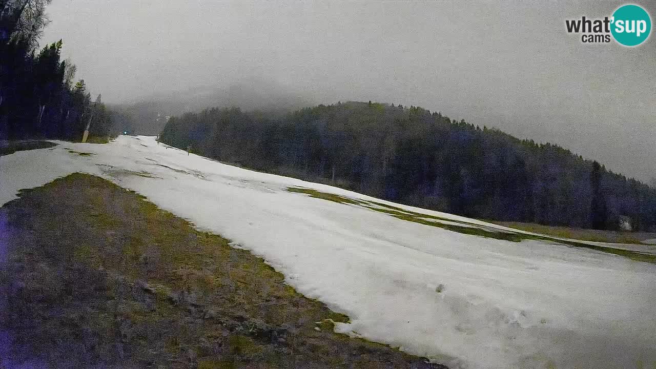 Kranjska Gora SKIJANJE | Brsnina