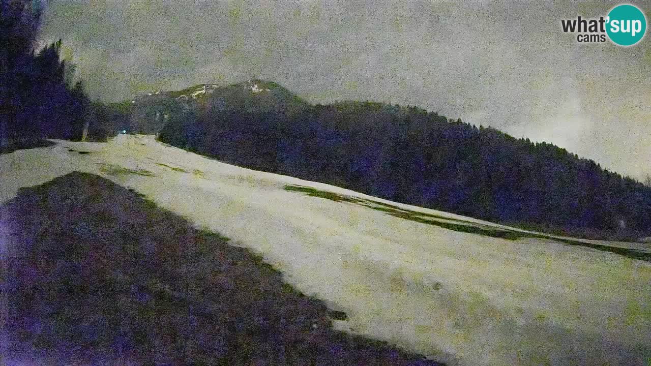 Ski Kranjska Gora | Brsnina