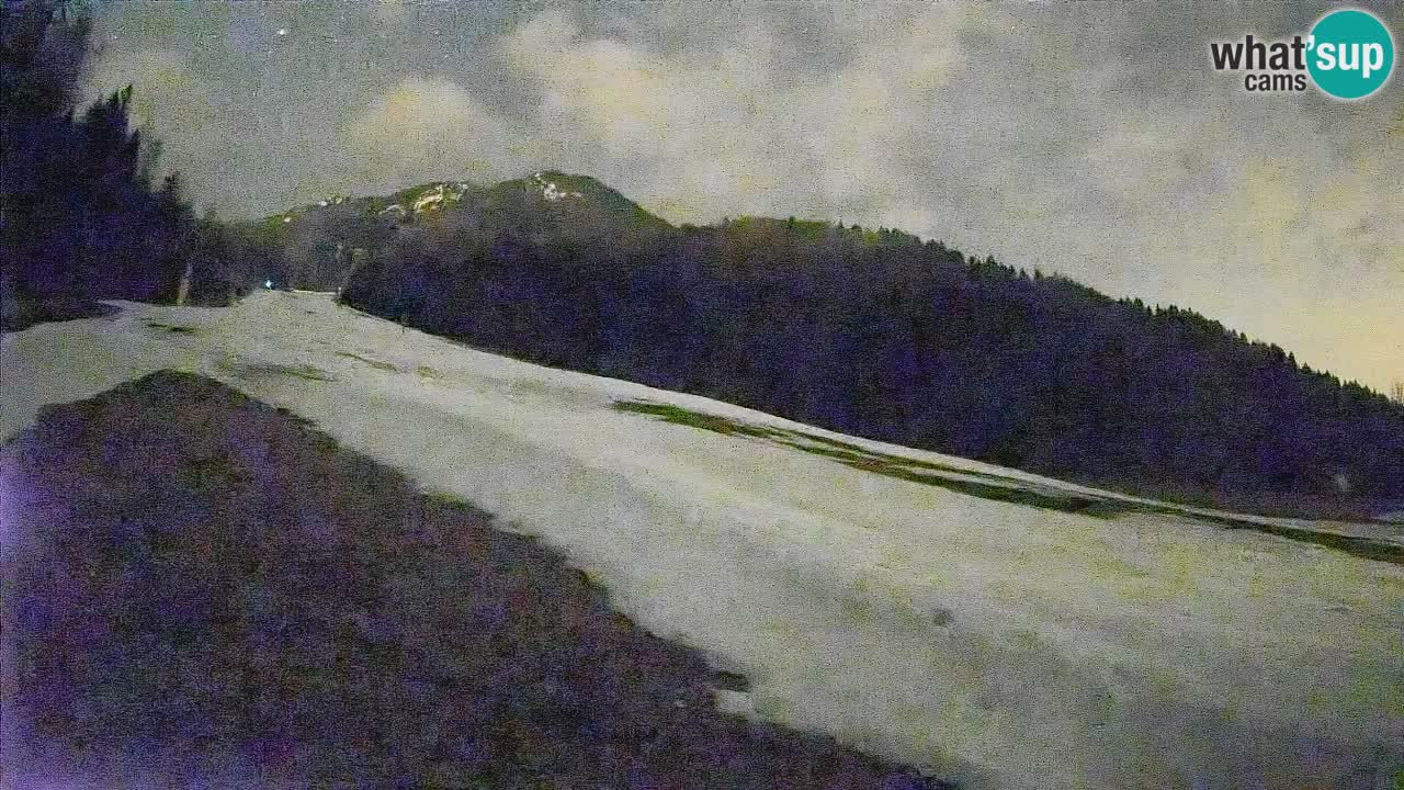 RTC Kranjska Gora | Brsnina