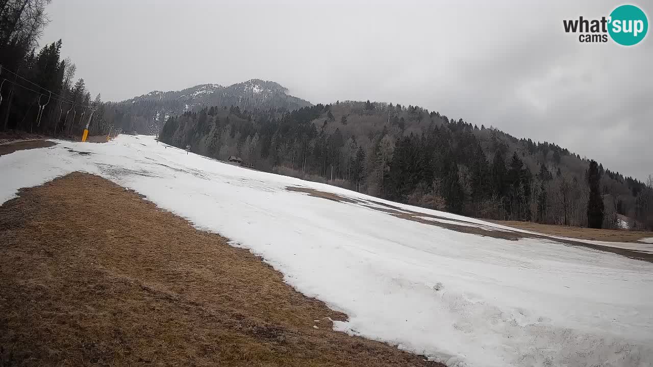 Esquí Kranjska Gora | Brsnina