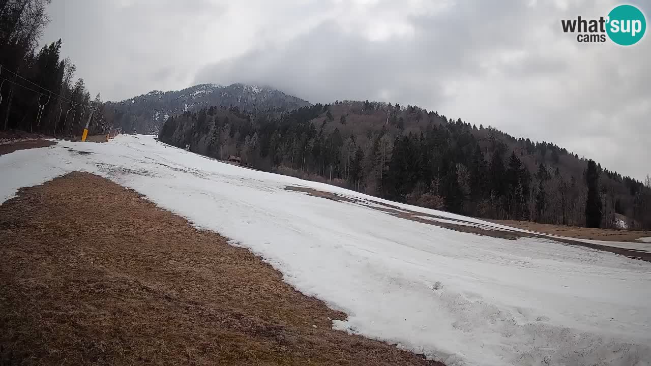 Kranjska Gora SKIJANJE | Brsnina
