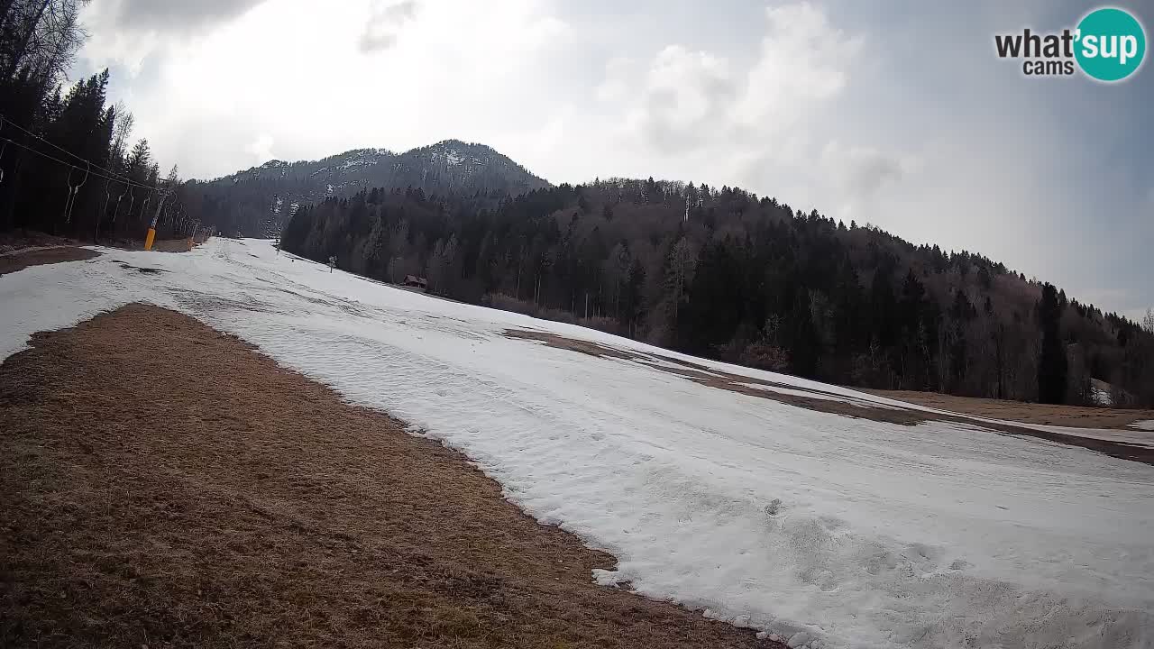 Ski Kranjska Gora | Brsnina