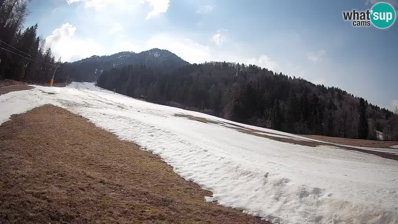 Ski Kranjska Gora | Brsnina