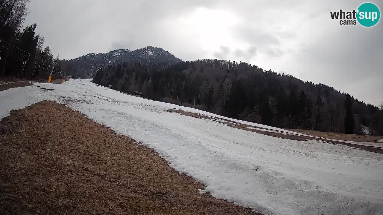 Ski Kranjska Gora | Brsnina
