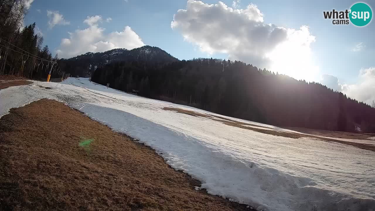 Esquí Kranjska Gora | Brsnina
