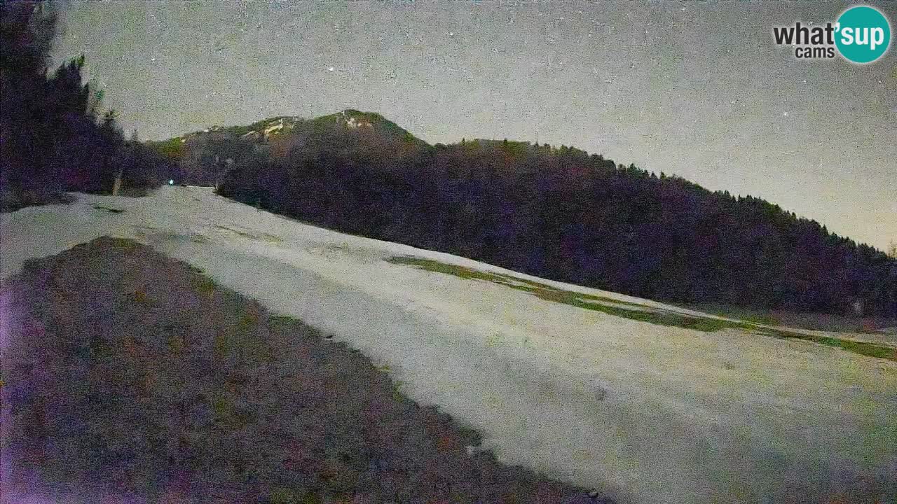 RTC Kranjska Gora | Brsnina