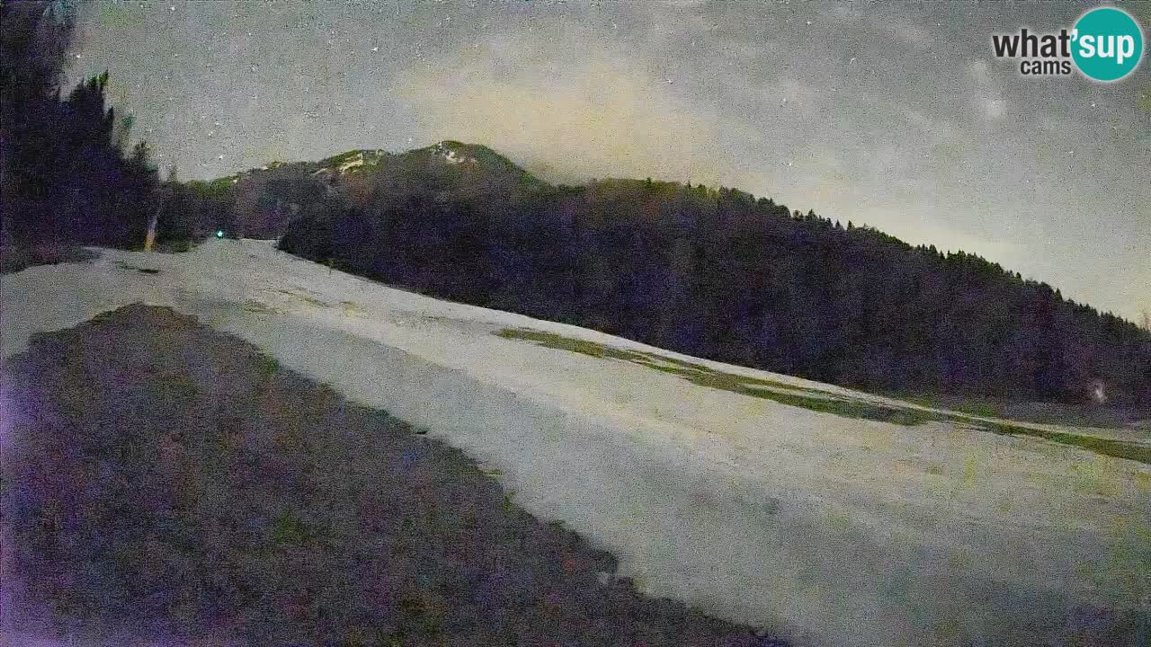 Kranjska Gora Station de ski | Brsnina