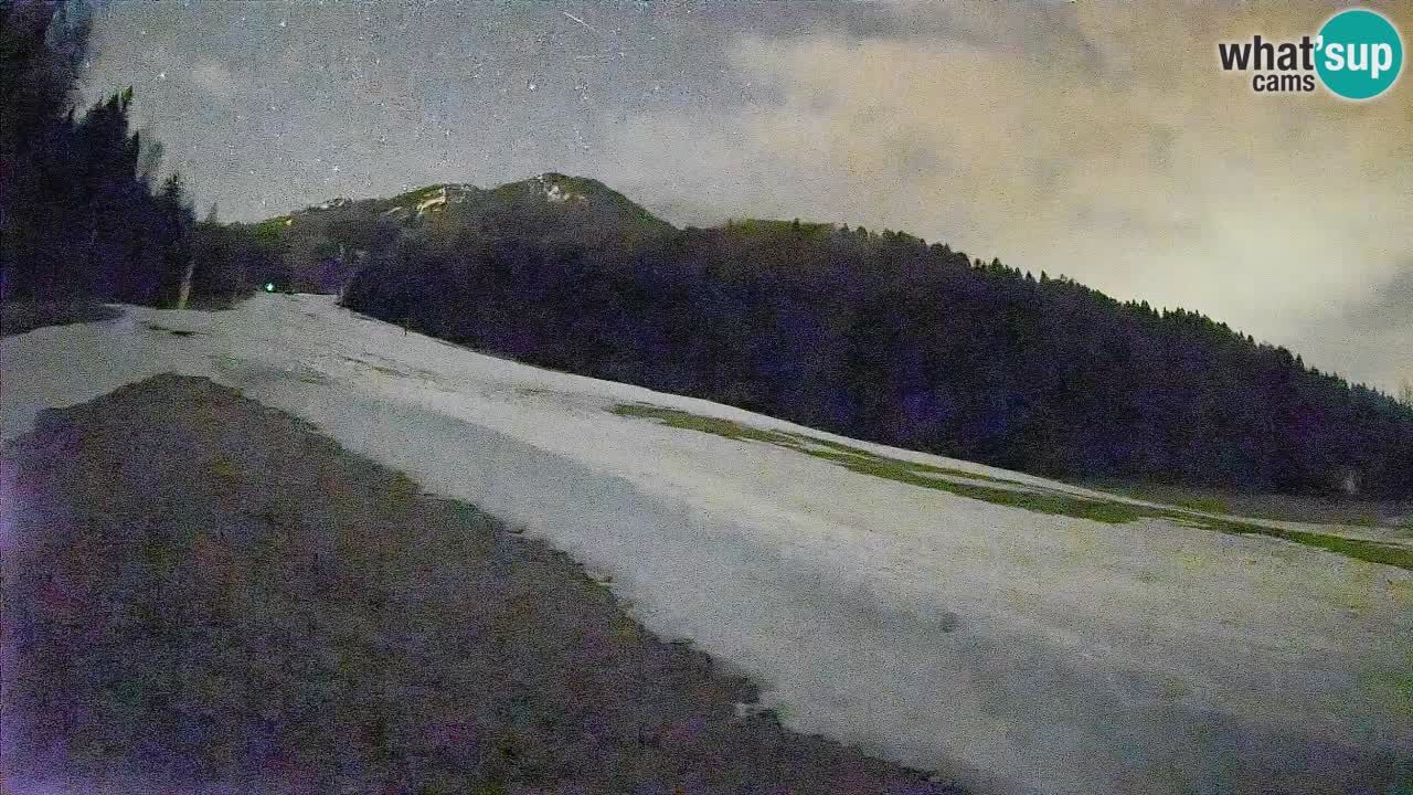 RTC Kranjska Gora | Brsnina