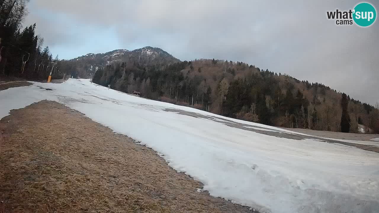 RTC Skigebiet Kranjska Gora | Brsnina