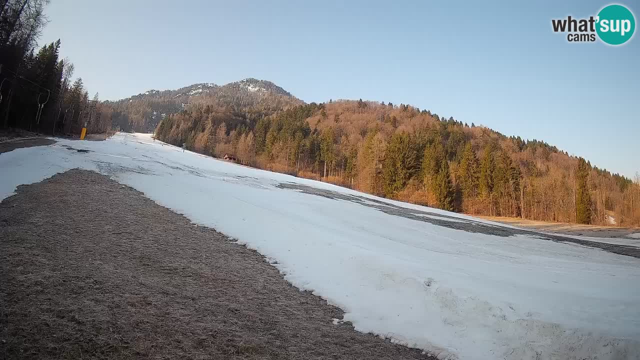 Ski Kranjska Gora | Brsnina