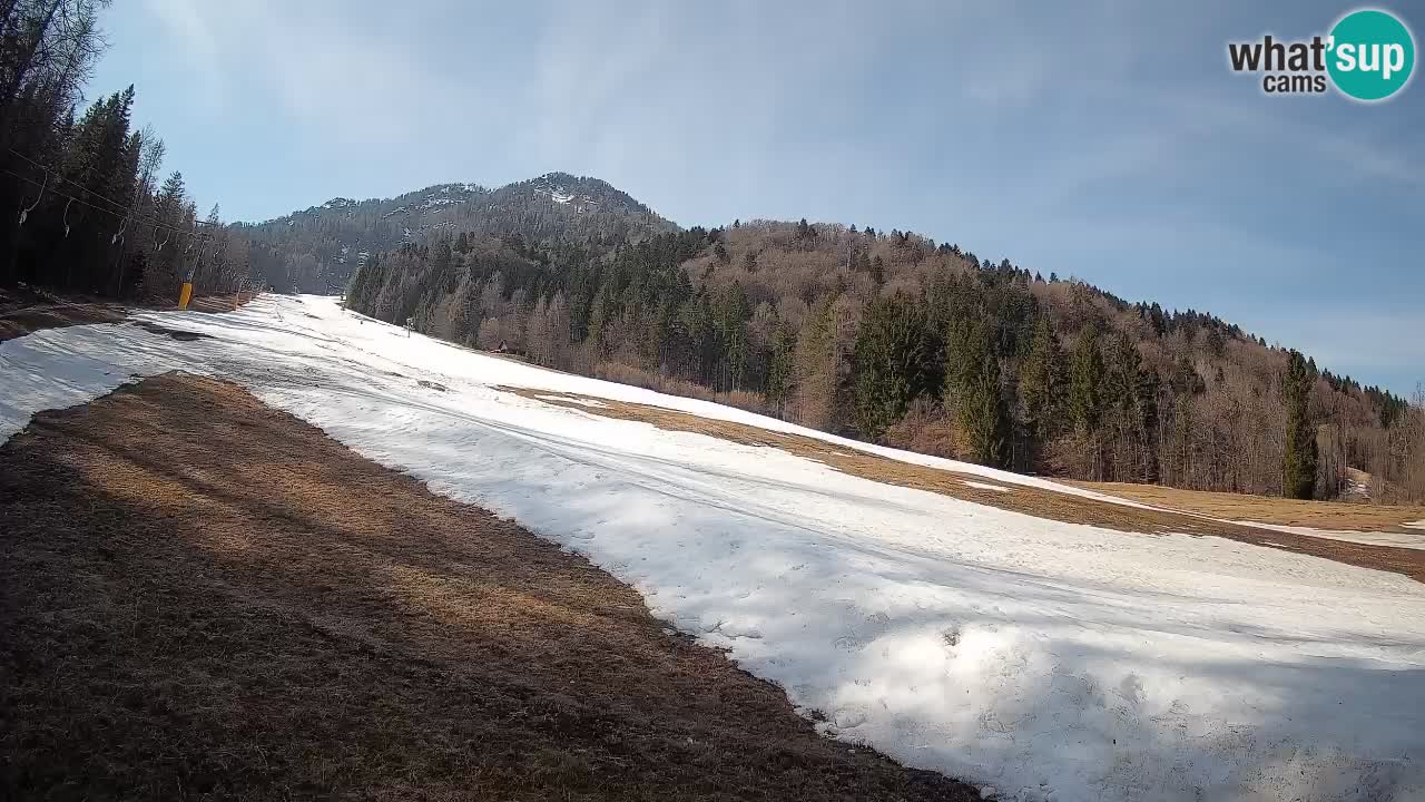 Ski Kranjska Gora | Brsnina