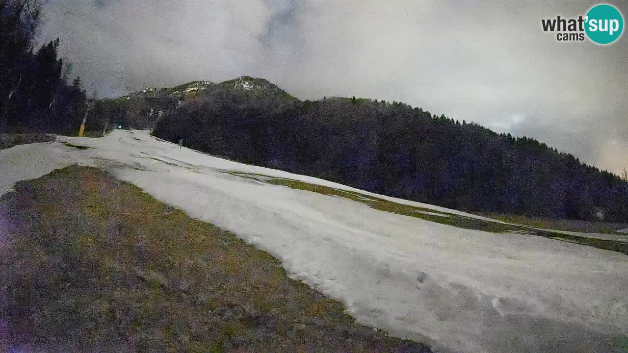 Esquí Kranjska Gora | Brsnina